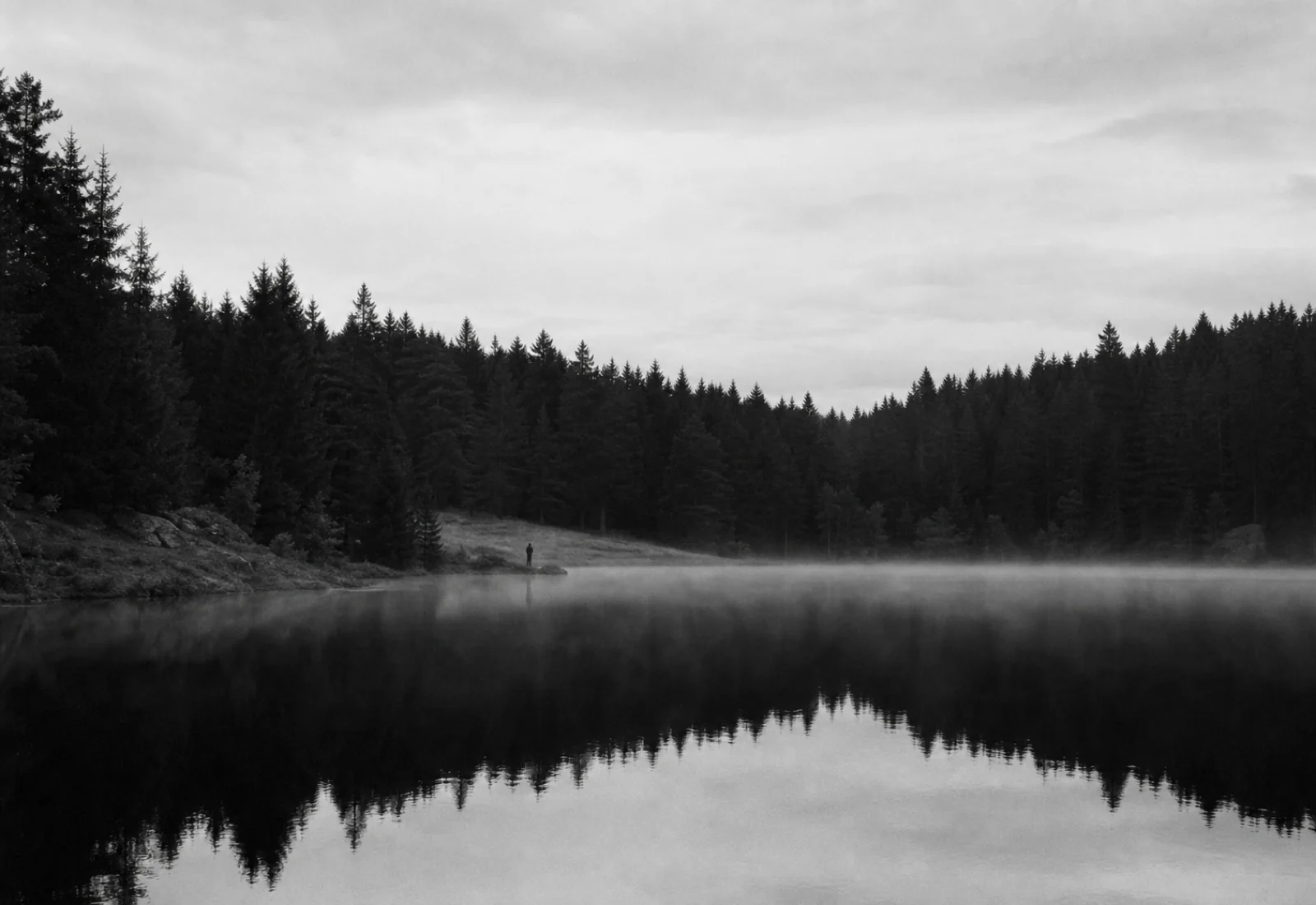 Körnige Schwarzweiß-Aufnahme eines stillen Waldsees im Fichtelgebirge